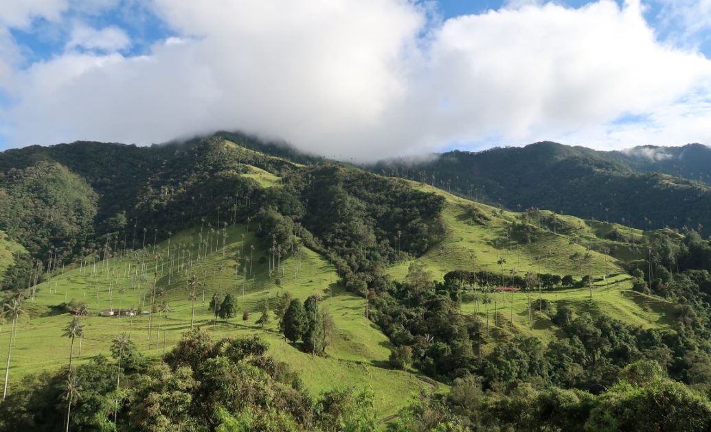 Aerial View of the Valle de Cocora during daylight