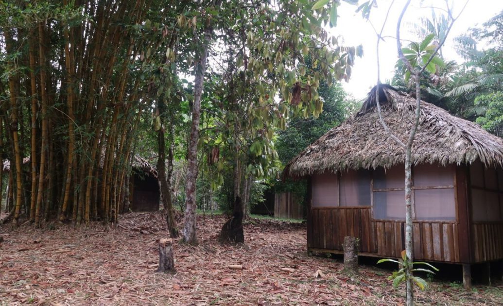 Amazon Yoi Ecolodge