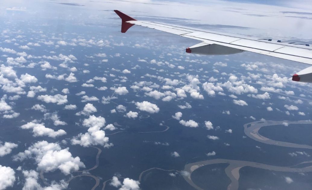 Amazon rainforest from the sky