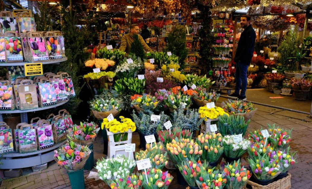 Bloemenmarkt The Ultimate Guide for one day in Amsterdam