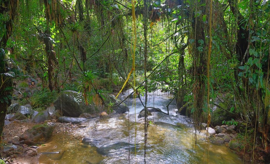 River in the jungle on the lost city trek