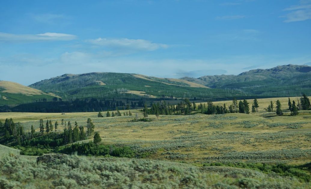 Yellowstone Lamar Valley