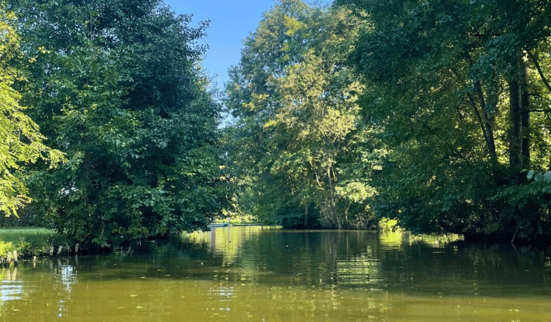 Kanu fahren in Ostdeutschland