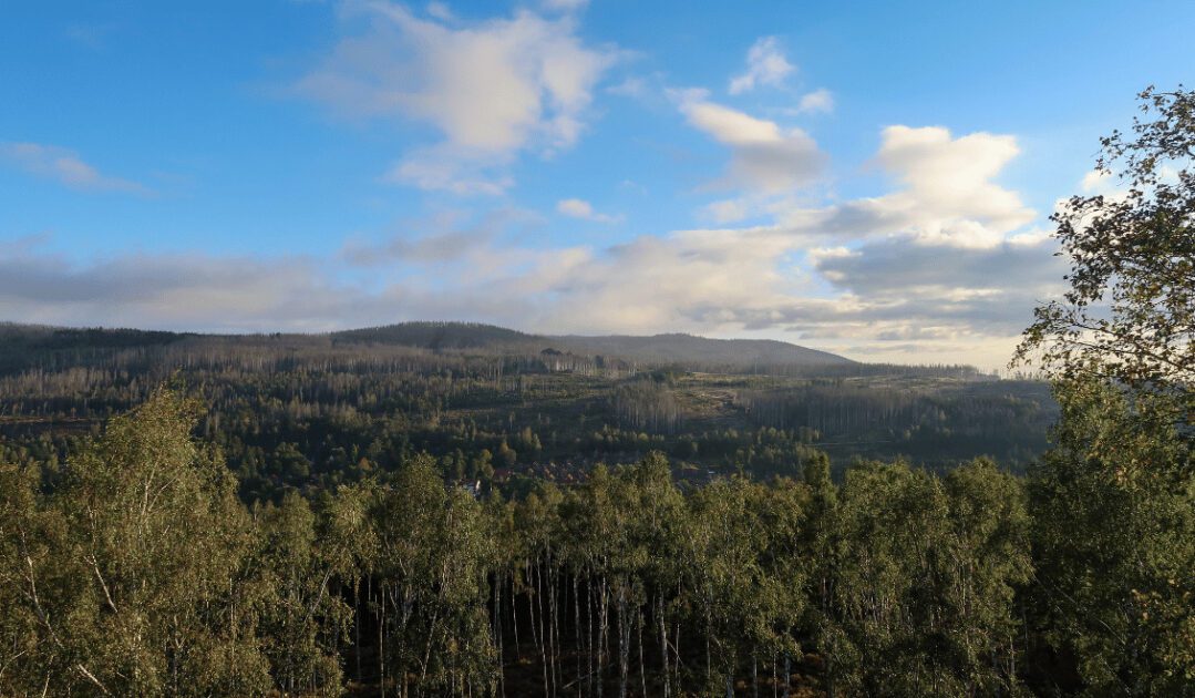 Hiking in the Harz Mountains