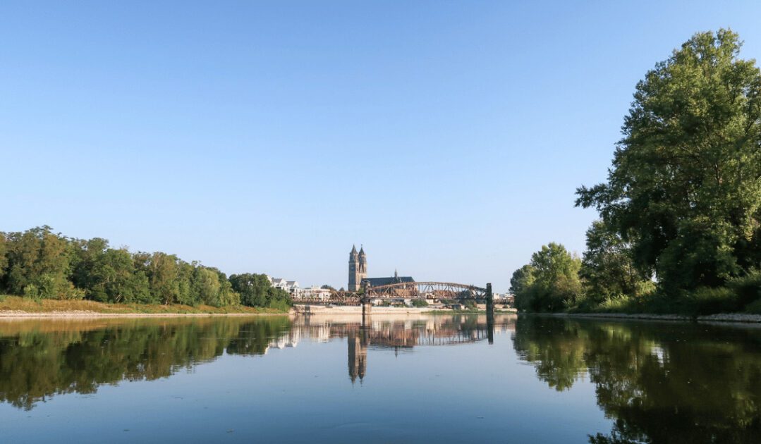 Elbe Magdeburger Dom