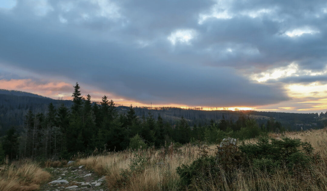 Harz hiking