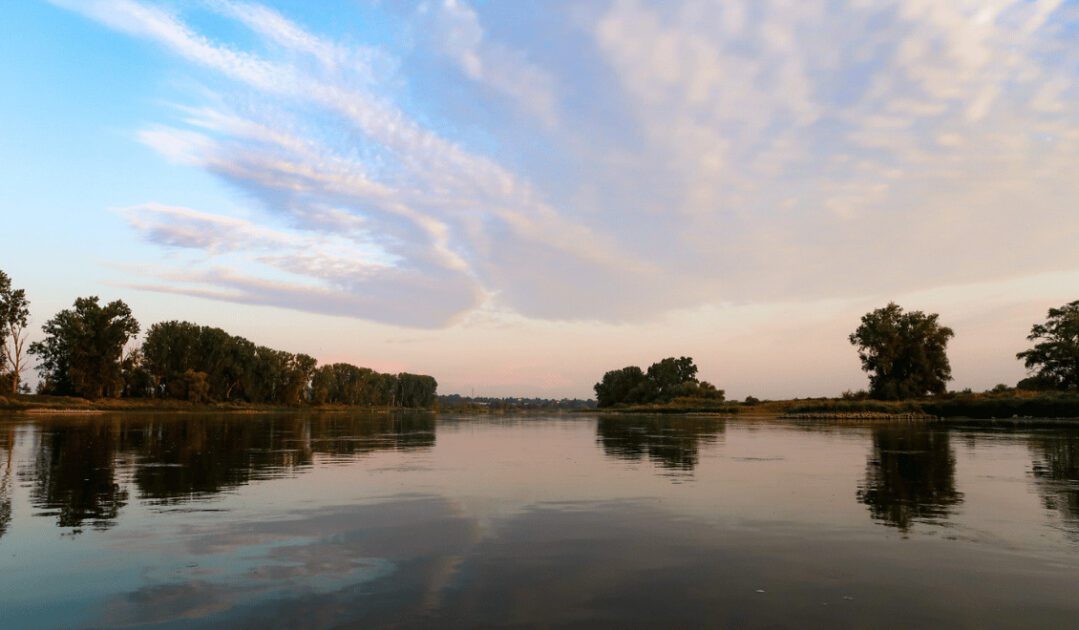 Kanu fahren auf der Elbe