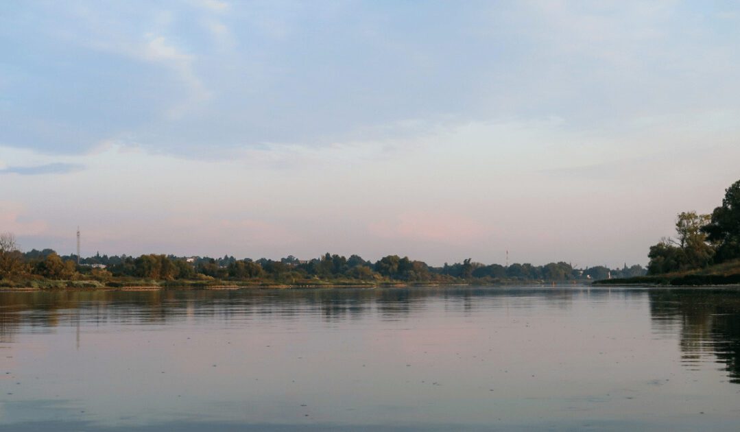 Kanu fahren auf der Elbe Magdeburg