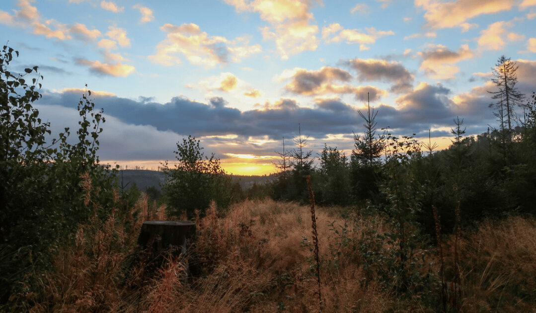 Sonnenaufgang im Harz