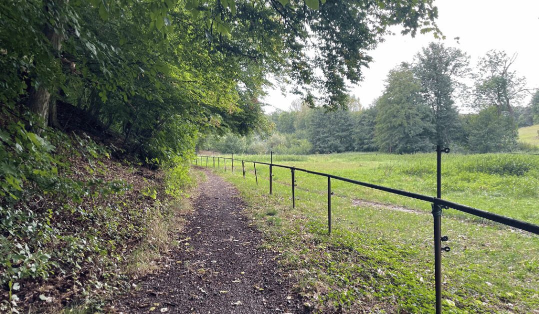 Hiking to Arnstein Castle in Germany